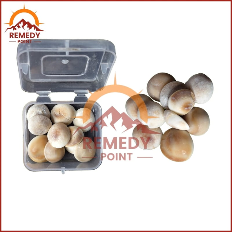 Gomti Chakra 100Gms. Gomti Chakra 100Gms.